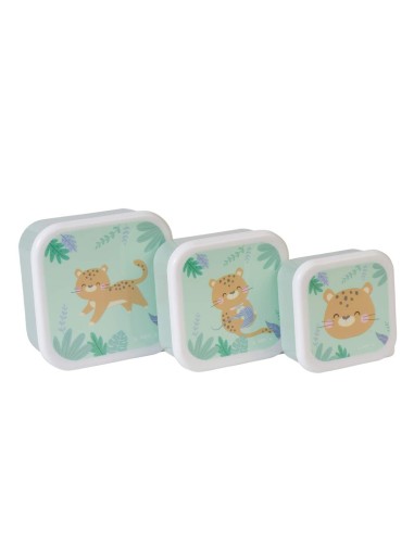Saro Set of 3 Lunch Boxes Hunger Mint